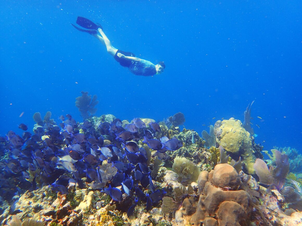 Kayak & Snorkel Adventure