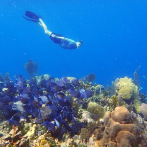 Snorkel Adventure
