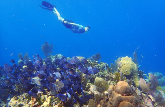 Snorkel Adventure