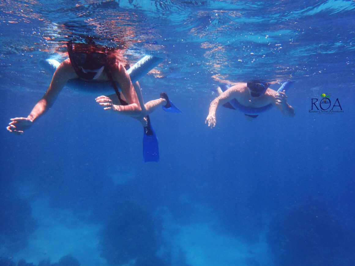 One-Mile Drift Snorkel Adventure