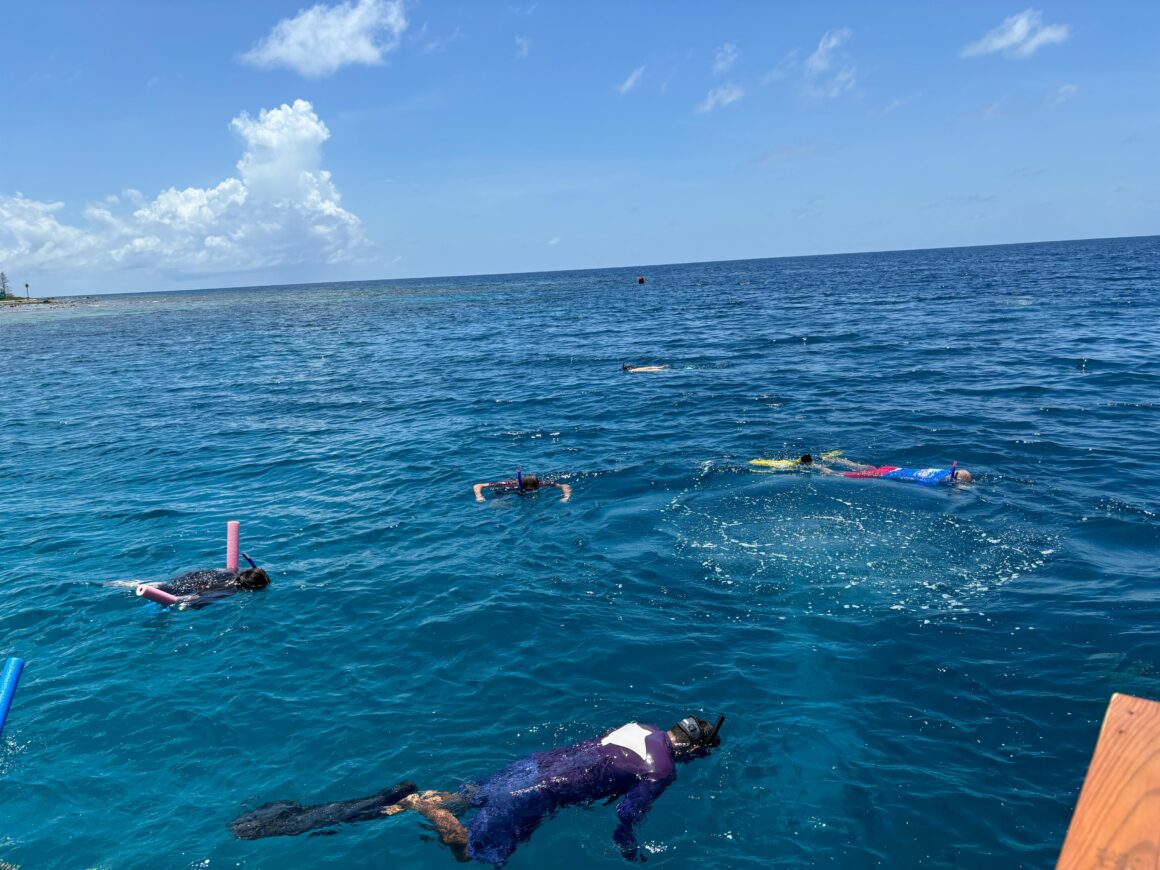 The Roatan Experience 