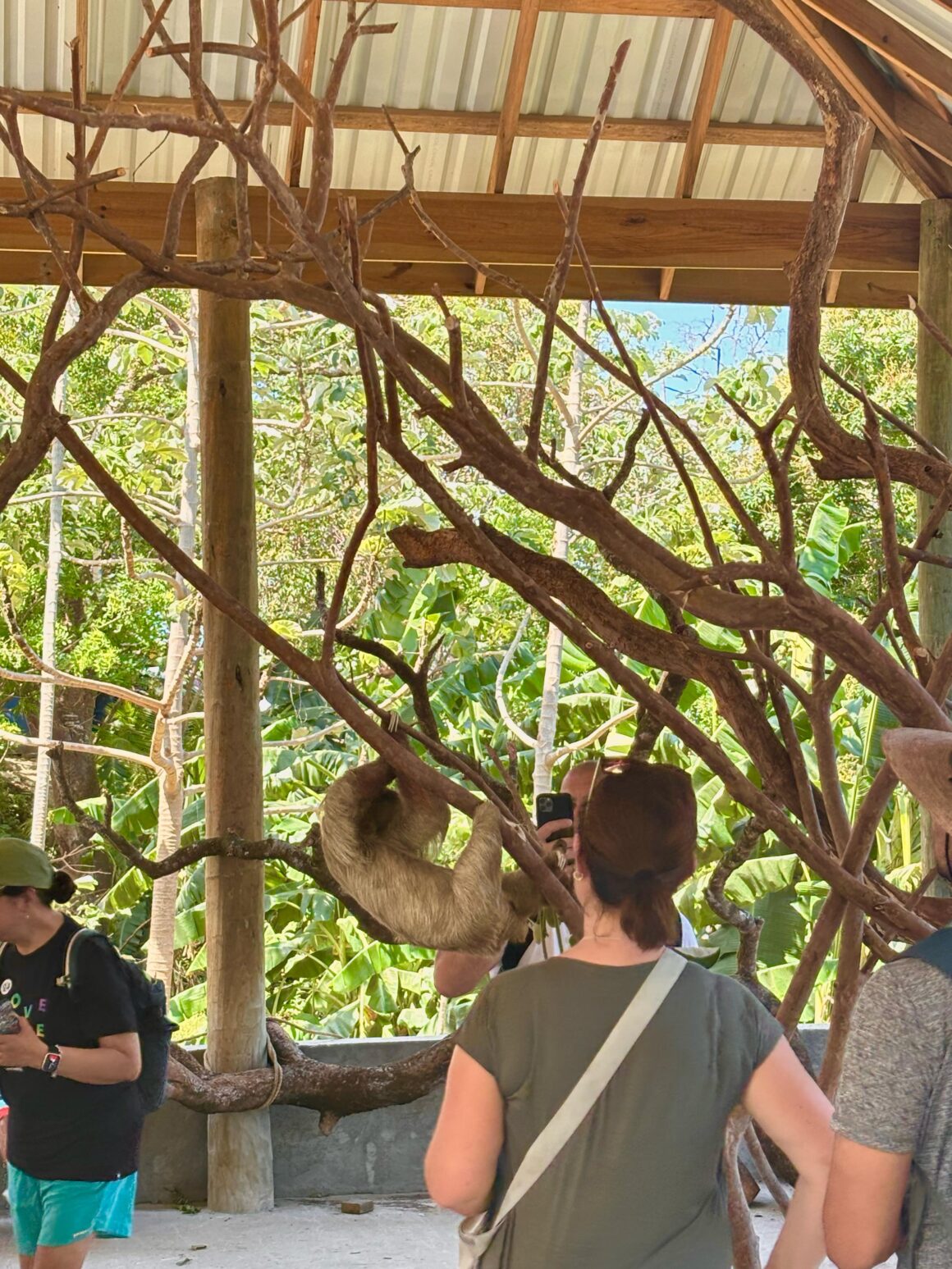 The Roatan Experience 