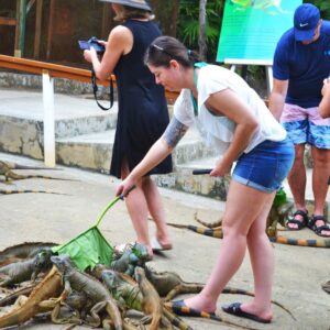 Wildlife Parks & Snorkel Adventures