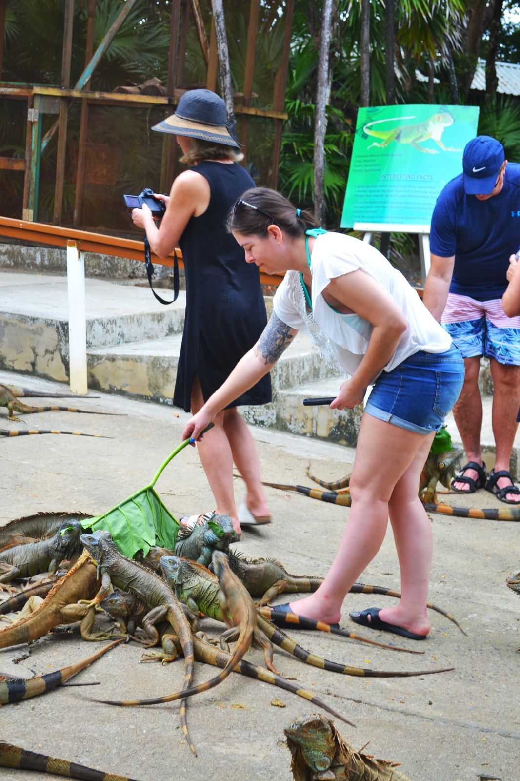 Wildlife Parks & Snorkel Adventures