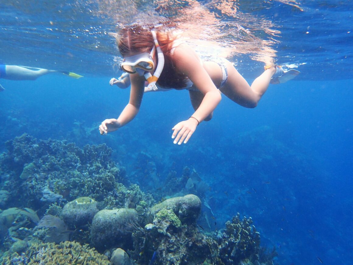 Monkey & Sloth Park Snorkel Adventure