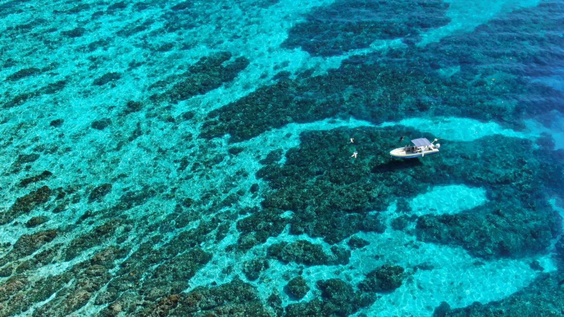 Zipline & Snorkel Adventure
