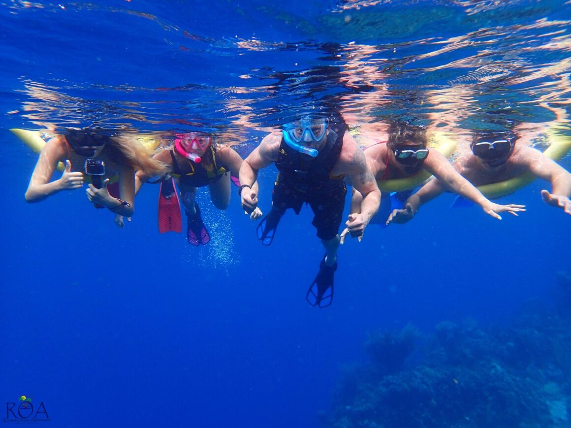 Mangrove Tunnel Boat Ride & Snorkel Adventure