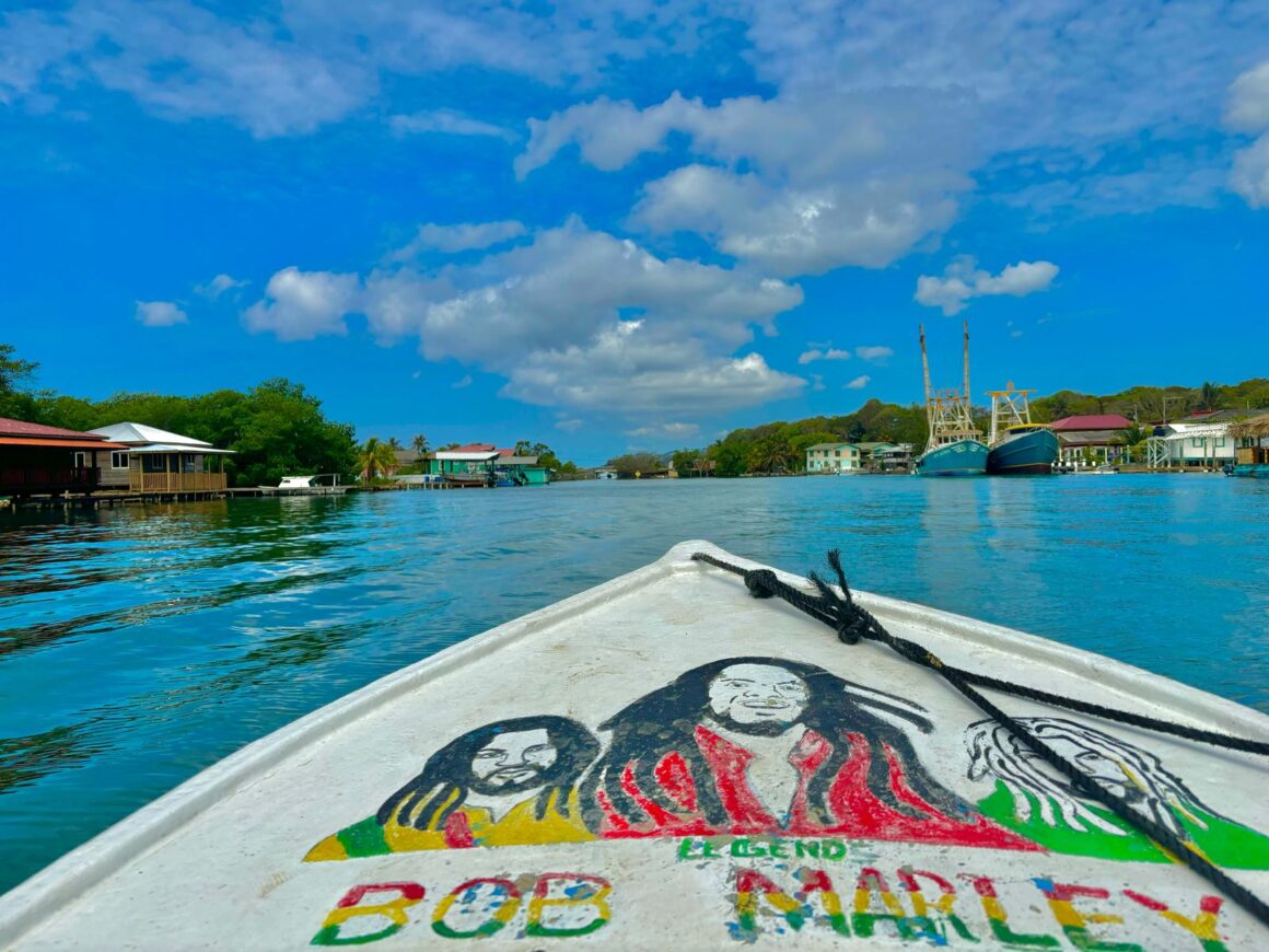 Mangrove Tunnel Boat Ride & Snorkel Adventure