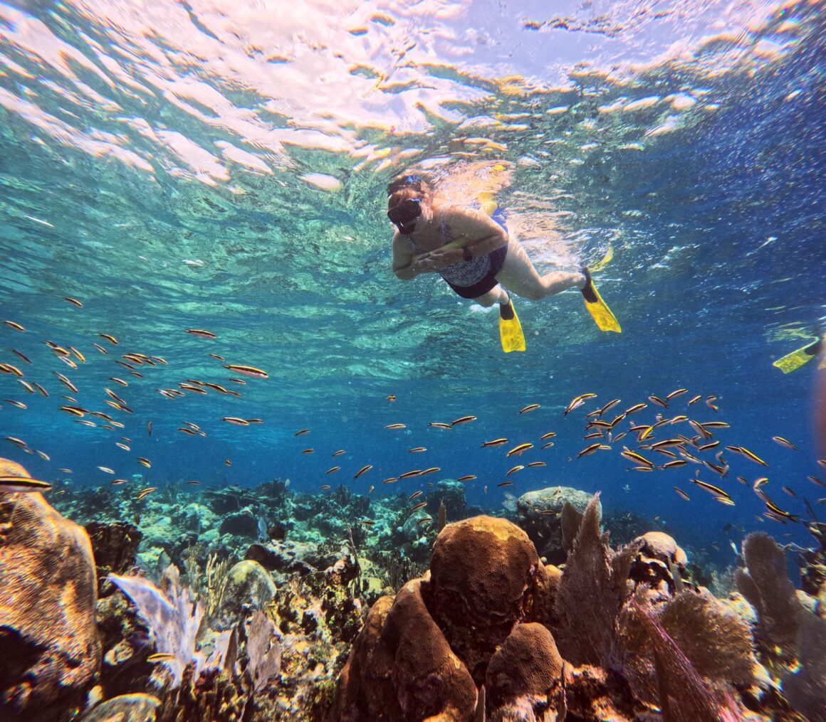 Roatan Private Snorkel Experience 