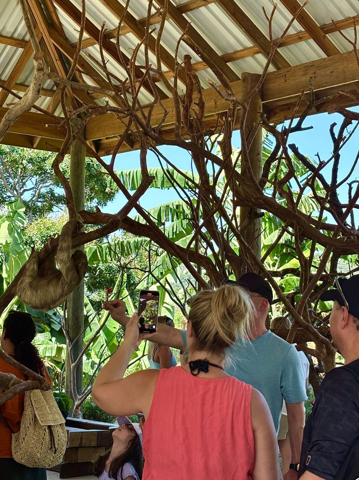 Wildlife Parks & Snorkel Adventures