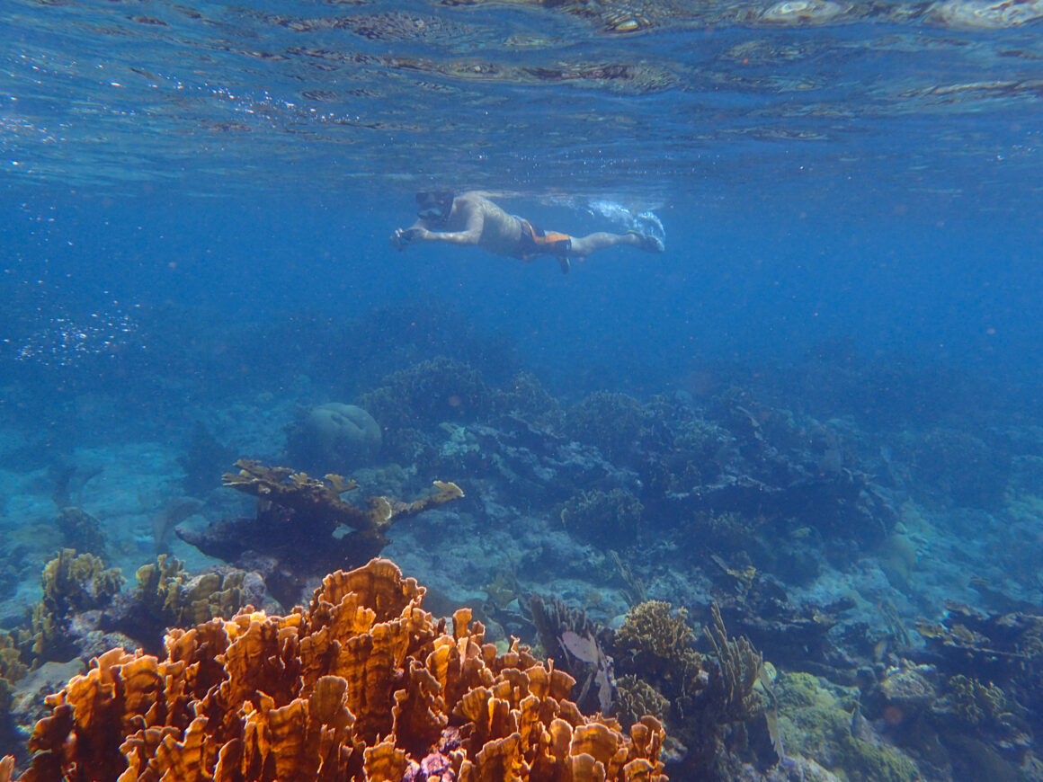 Zipline & Snorkel Adventure