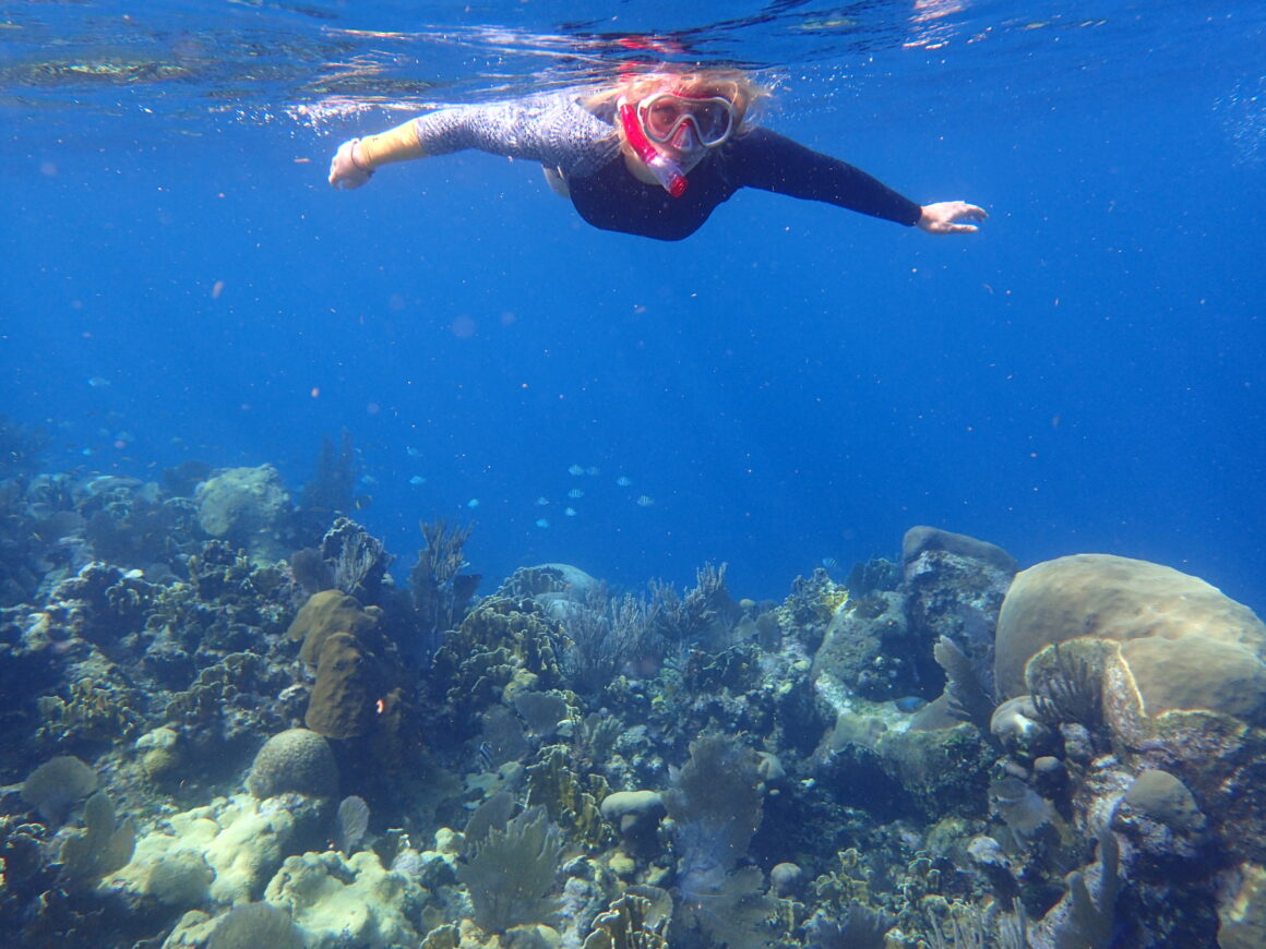 Monkey & Sloth Park Snorkel Adventure