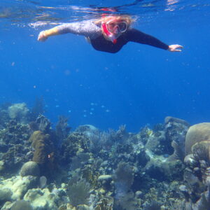 Snorkel Hopping Adventure 