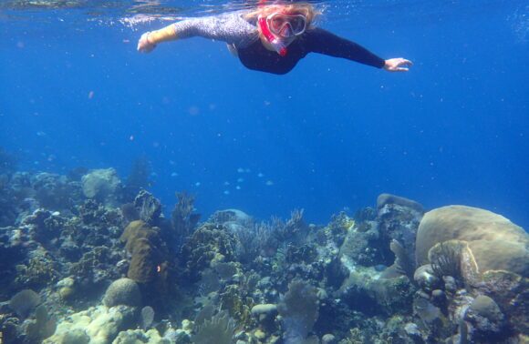 Snorkel Hopping Adventure 