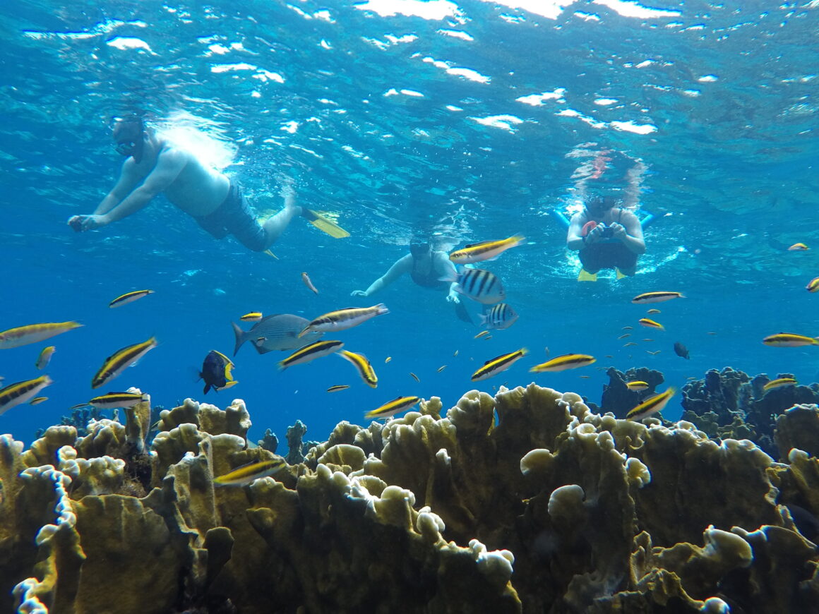 One-Mile Drift Snorkel Adventure