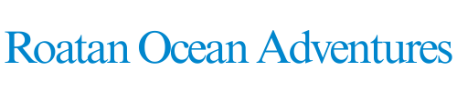 Roatan Ocean Adventures - Roatan Snorkel Tour / Roatan Wildlife Tours / Private Tours